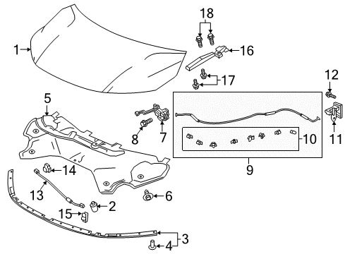 2023 Honda Odyssey Hood & Components Diagram