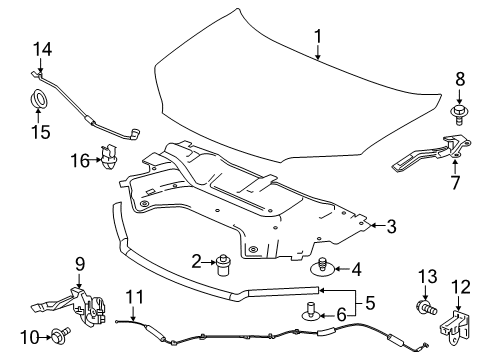 2023 Honda Passport Hood & Components Diagram