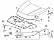 Diagram for 2022 Honda Insight Hood Latch - 74120-TXM-A02