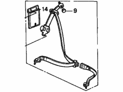 Honda 824A0-SH0-A32ZC Seat Belt Assembly, Rear (3P-Elr) (Urban Brown)